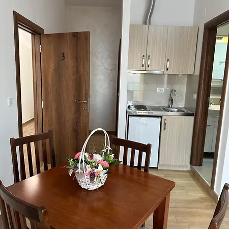 Villa Marija **** With Private Pool Budva